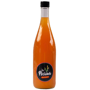 Botella Pócima Grande